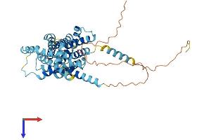 AlphaFold protein structure predicition of Human Recombinant SLC35F3 Protein, UniprotID Q8IY50