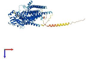 AlphaFold protein structure predicition of Mouse Recombinant Lmf2 Protein, UniprotID Q8C3X8