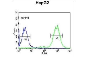 C19orf21 Antibody (N-term) (ABIN651044 and ABIN2840046) flow cytometric analysis of HepG2 cells (right histogram) compared to a negative control cell (left histogram). (C19orf21 anticorps  (N-Term))