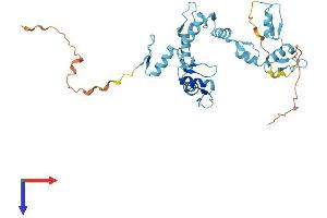 AlphaFold protein structure predicition of Human Recombinant GTF3A Protein, UniprotID Q92664