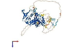 AlphaFold protein structure predicition of Human Recombinant GRB10 Protein, UniprotID Q13322