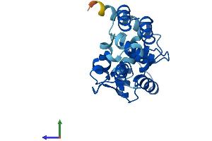 AlphaFold protein structure predicition of Human Recombinant CAPSL Protein, UniprotID Q8WWF8