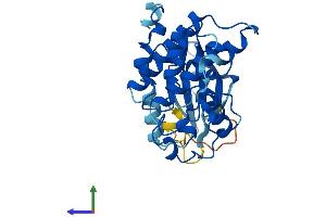 AlphaFold protein structure predicition of Human Recombinant CDK1 Protein, UniprotID P06493