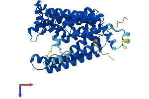 AlphaFold protein structure predicition of Mouse Recombinant Pigm Protein, UniprotID Q8C2R7