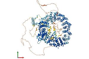 AlphaFold protein structure predicition of Human Recombinant SF3B1 Protein, UniprotID O75533