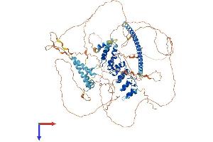 AlphaFold protein structure predicition of Mouse Recombinant Kank4 Protein, UniprotID Q6P9J5