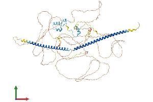 AlphaFold protein structure predicition of Mouse Recombinant Rbbp8 Protein, UniprotID Q80YR6