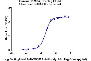 Immobilized Human CD300A, hFc Tag at 0.