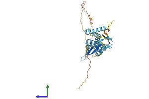 AlphaFold protein structure predicition of Mouse Recombinant Ndn Protein, UniprotID P25233