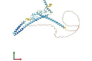 AlphaFold protein structure predicition of Human Recombinant LUC7L2 Protein, UniprotID Q9Y383