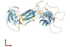 AlphaFold protein structure predicition of Human Recombinant SCAP Protein, UniprotID Q12770