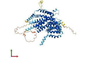 AlphaFold protein structure predicition of Human Recombinant SLC13A3 Protein, UniprotID Q8WWT9