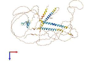 AlphaFold protein structure predicition of Human Recombinant NRG3 Protein, UniprotID P56975