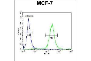 Flow cytometric analysis of MCF-7 cells (right histogram) compared to a negative control cell (left histogram). (RENT2/UPF2 anticorps  (AA 630-656))
