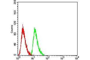 Flow cytometric analysis of Hela cells using RAN mouse mAb (green) and negative control (red). (RAN anticorps  (AA 1-216))