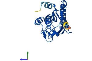AlphaFold protein structure predicition of Human Recombinant UFC1 Protein, UniprotID Q9Y3C8