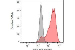 Flow cytometry analysis (surface staining) of HLA-E transfectants with anti-human HLA-E (clone MEM-E/07) biotin antibody (red), streptavidin-APC (red, concentration in sample 4 μg/mL), with blank sample (grey). (HLA-E anticorps  (Biotin))