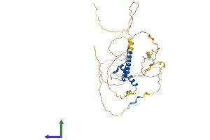 AlphaFold protein structure predicition of Human Recombinant ATOH1 Protein, UniprotID Q92858