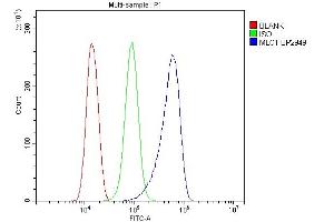 Flow Cytometry analysis of THP-1 cells using anti-MLC1 antibody (ABIN7599326). (MLC1 anticorps  (AA 1-377))