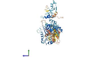 AlphaFold protein structure predicition of Human Recombinant ZFYVE1 Protein, UniprotID Q9HBF4