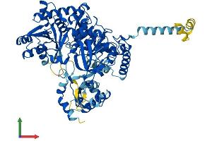 AlphaFold protein structure predicition of Mouse Recombinant Acsl1 Protein, UniprotID P41216
