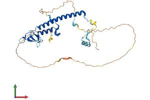 AlphaFold protein structure predicition of Mouse Recombinant Rph3al Protein, UniprotID Q768S4