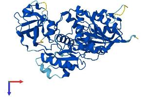 AlphaFold protein structure predicition of Human Recombinant NSUN6 Protein, UniprotID Q8TEA1