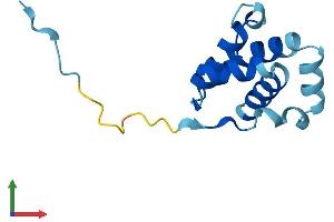 AlphaFold protein structure predicition of Mouse Recombinant Cnfn Protein, UniprotID Q6PCW6