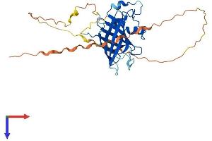 AlphaFold protein structure predicition of Human Recombinant GID4 Protein, UniprotID Q8IVV7
