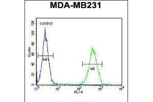 Flow cytometric analysis of MDA-MB231 cells (right histogram) compared to a negative control cell (left histogram).