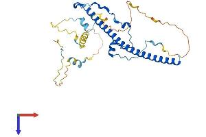 AlphaFold protein structure predicition of Human Recombinant TEF Protein, UniprotID Q10587