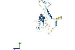 AlphaFold protein structure predicition of Human Recombinant ENKD1 Protein, UniprotID Q9H0I2