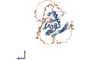 AlphaFold protein structure predicition of Human Recombinant OTUD1 Protein, UniprotID Q5VV17