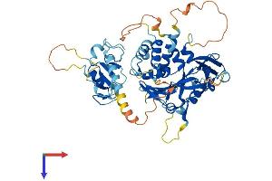 AlphaFold protein structure predicition of Human Recombinant USP3 Protein, UniprotID Q9Y6I4
