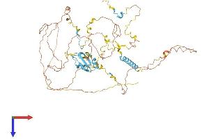 AlphaFold protein structure predicition of Mouse Recombinant Eif4b Protein, UniprotID Q8BGD9