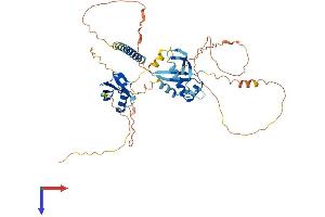AlphaFold protein structure predicition of Human Recombinant MIDN Protein, UniprotID Q504T8