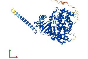 AlphaFold protein structure predicition of Human Recombinant CYP26B1 Protein, UniprotID Q9NR63