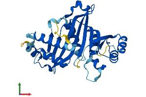 AlphaFold protein structure predicition of Human Recombinant GCLM Protein, UniprotID P48507