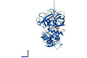 AlphaFold protein structure predicition of Mouse Recombinant Tmprss3 Protein, UniprotID Q8K1T0