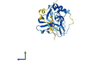 AlphaFold protein structure predicition of Human Recombinant ZMYND19 Protein, UniprotID Q96E35