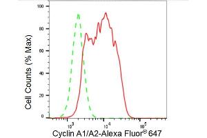 Flow cytometric analysis of Cyclin A1/A2 expression in HAP-1 cells using Cyclin A1/A2 antibody (ABIN7798185), 1:2,000).