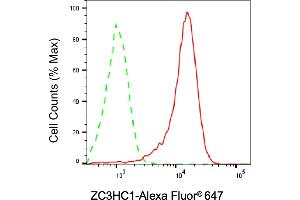 Flow cytometric analysis of ZC3HC1 expression in HeLa cells using ZC3HC1 antibody (ABIN7800903), 1:2,000).