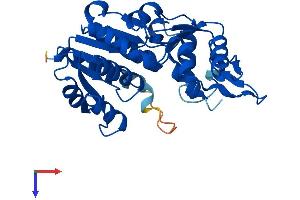 AlphaFold protein structure predicition of Mouse Recombinant Nmral1 Protein, UniprotID Q8K2T1