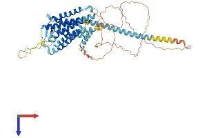 AlphaFold protein structure predicition of Human Recombinant GPR101 Protein, UniprotID Q96P66