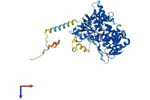 AlphaFold protein structure predicition of Human Recombinant CYP2U1 Protein, UniprotID Q7Z449