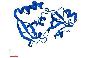 AlphaFold protein structure predicition of Mouse Recombinant Mcts1 Protein, UniprotID Q9DB27