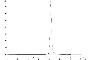 The purity of Human CD3E&CD3G/CD3 Epsilon&CD3 Gamma was greater than 95 % as determined by SEC-HPLC.