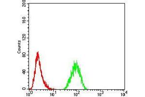 Flow cytometric analysis of Hela cells using TRAF2 mouse mAb (green) and negative control (red).