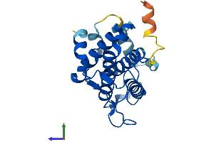 AlphaFold protein structure predicition of Human Recombinant MOB3B Protein, UniprotID Q86TA1