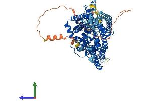 AlphaFold protein structure predicition of Human Recombinant SLC5A5 Protein, UniprotID Q92911